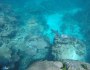 Three years is too long between Great Barrier Reef dives!